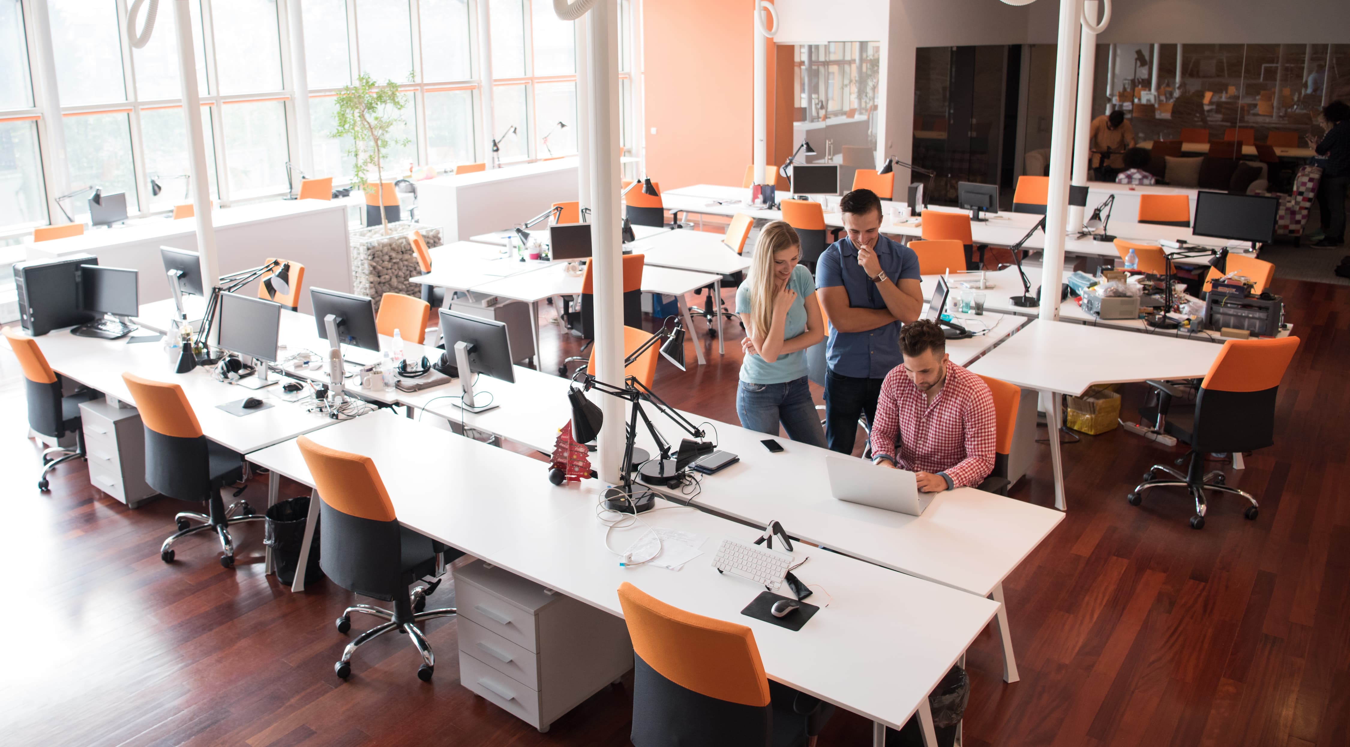 Офис 2019 без регистрации. Как выглядит офис 2019. Офис 2019 студент. Office 2019 фото. Офис 2019 студент купить